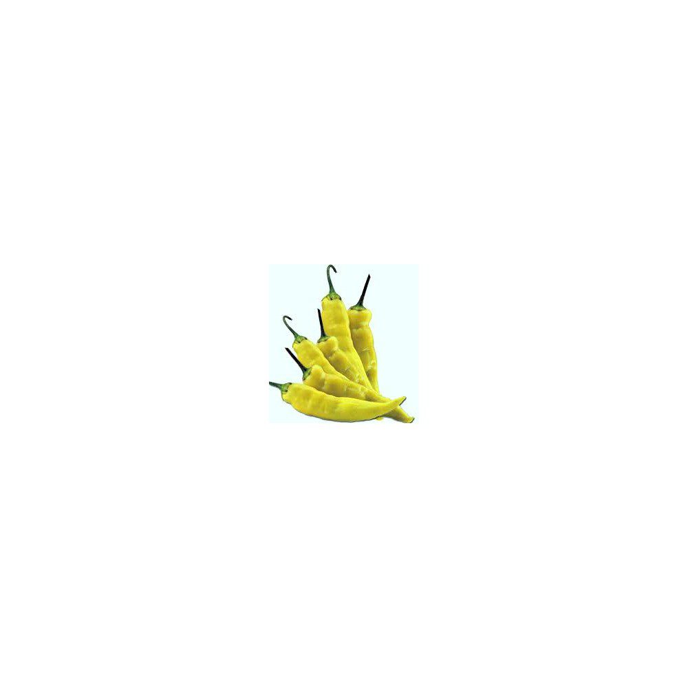 AJI CREMA TRAVERSO 100 G