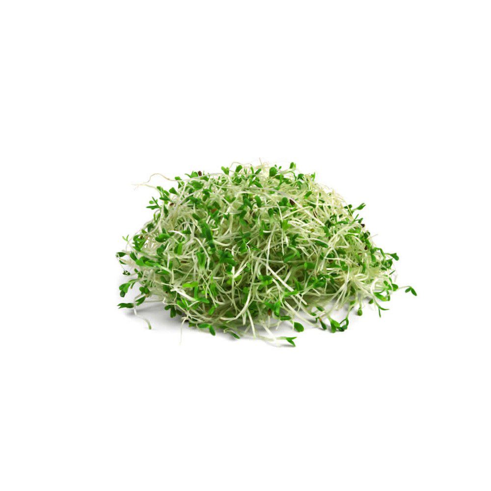Brote Alfalfa Unidad