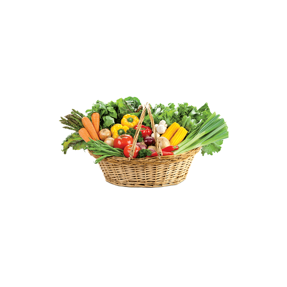 CANASTA FRESH