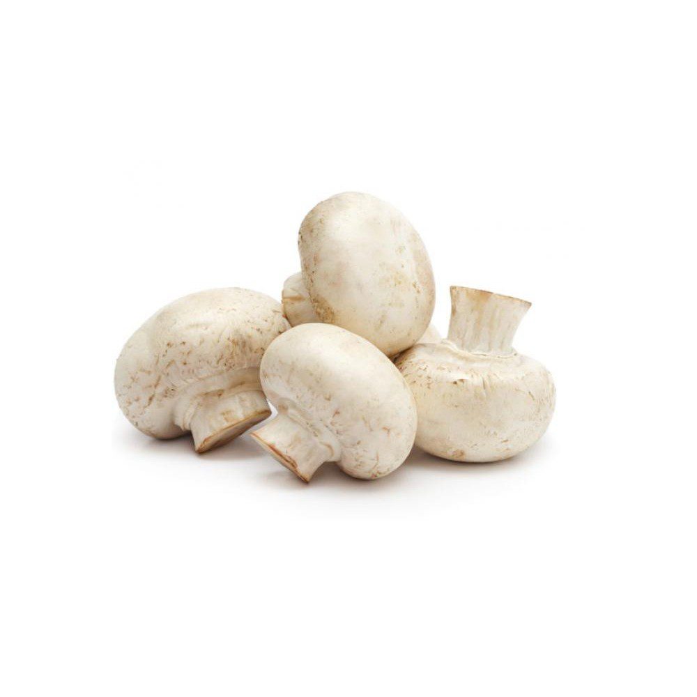 Champiñon royal 500 gr