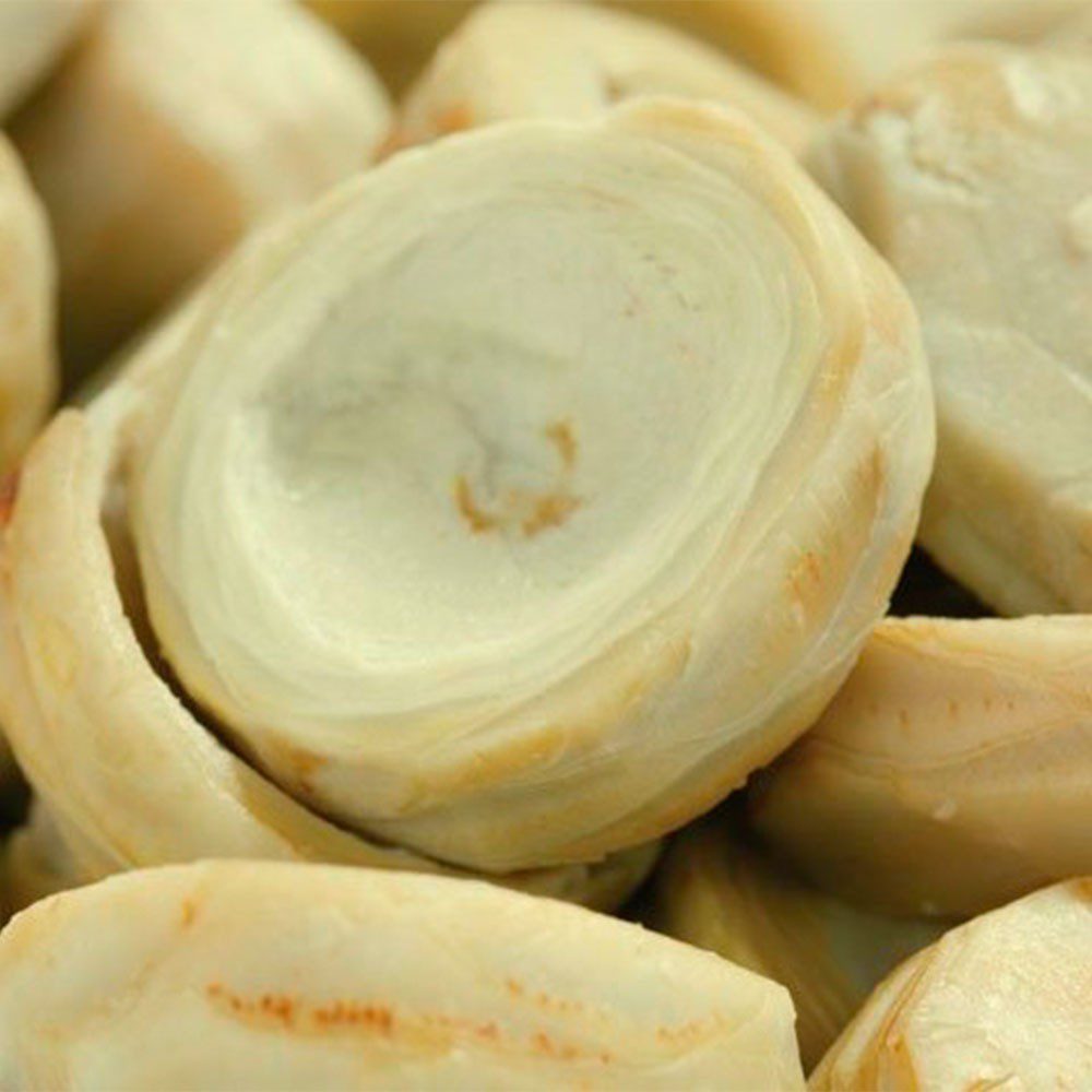 Fondos de alcachofa kg