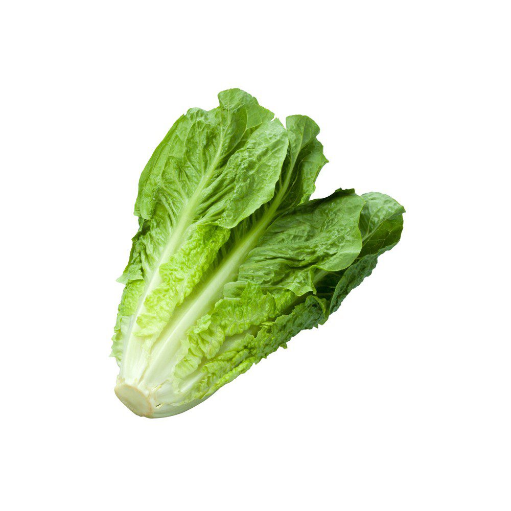 Lechuga costina 2 uni.