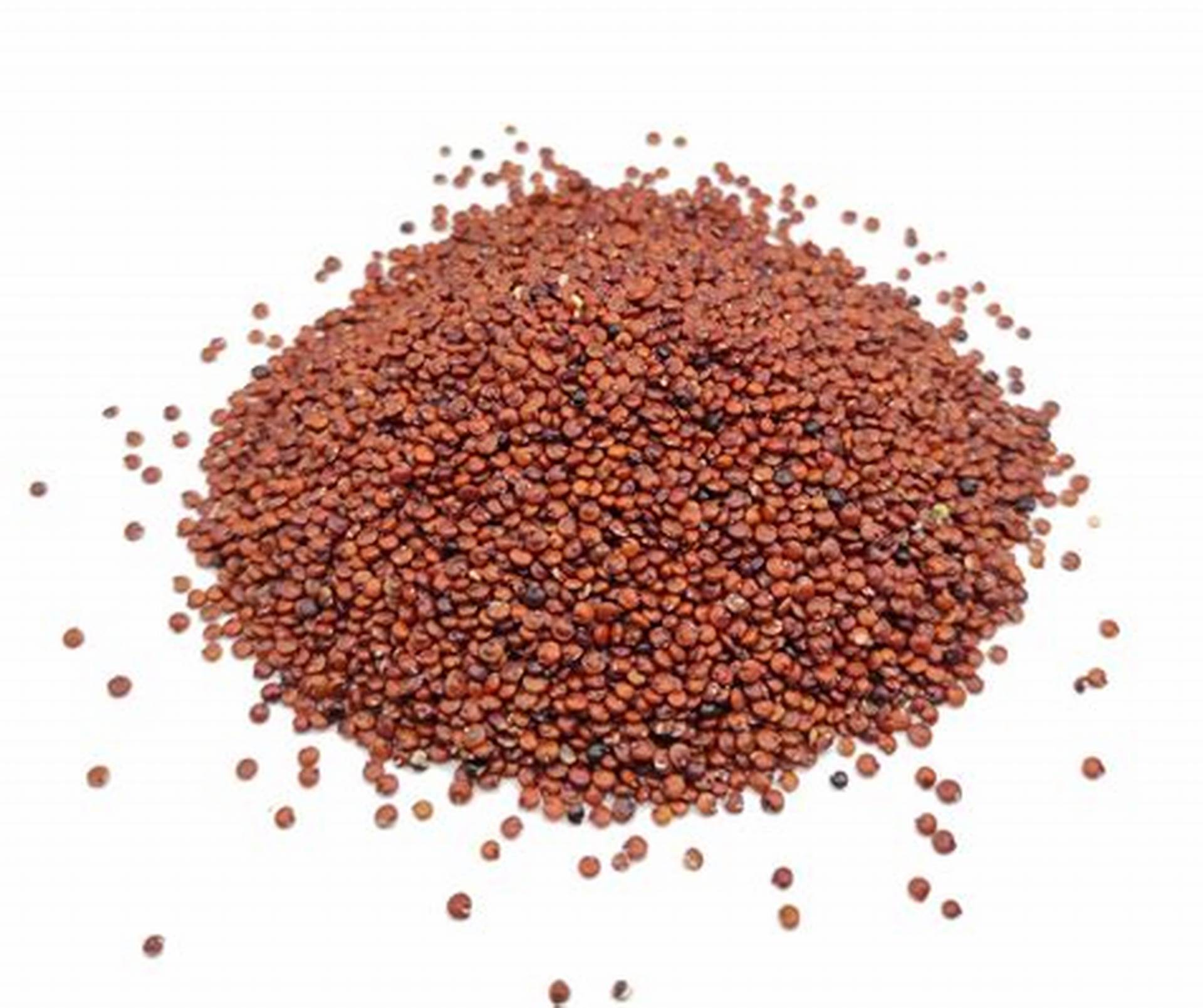 Quinoa roja 500 grs.